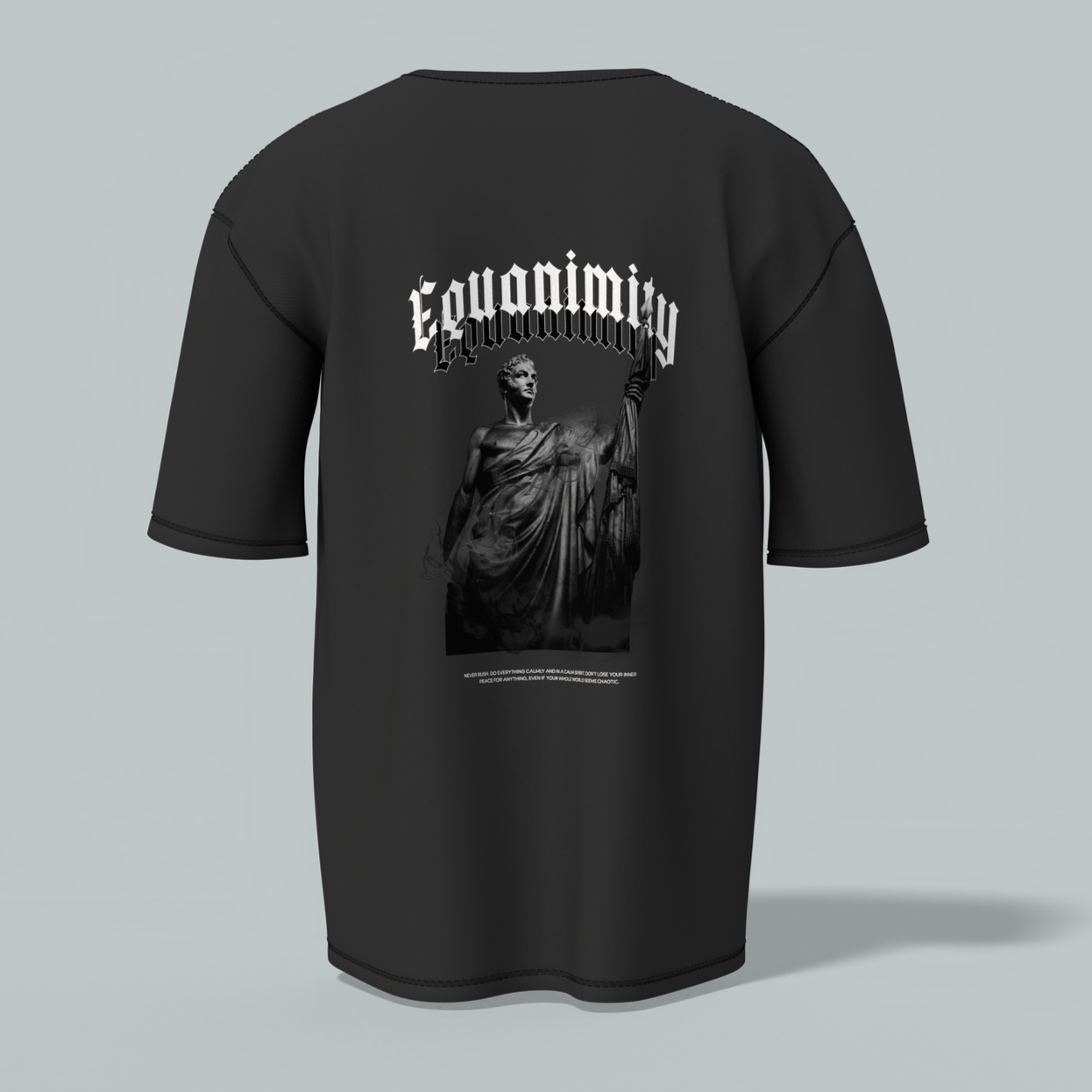Equanimity Oversized T-Shirt
